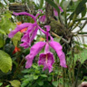 Meet your Posher, Jen